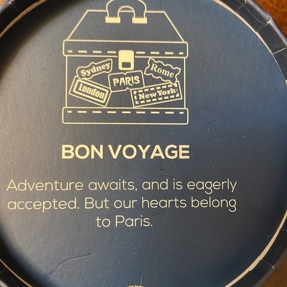 Nib Erstwilder Bon Voyage Brooch - Picture 4 of 5